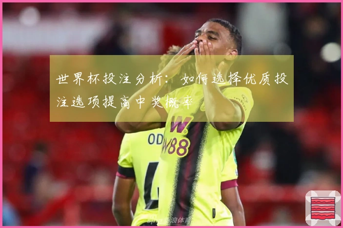 世界杯投注分析：如何选择优质投注选项提高中奖概率