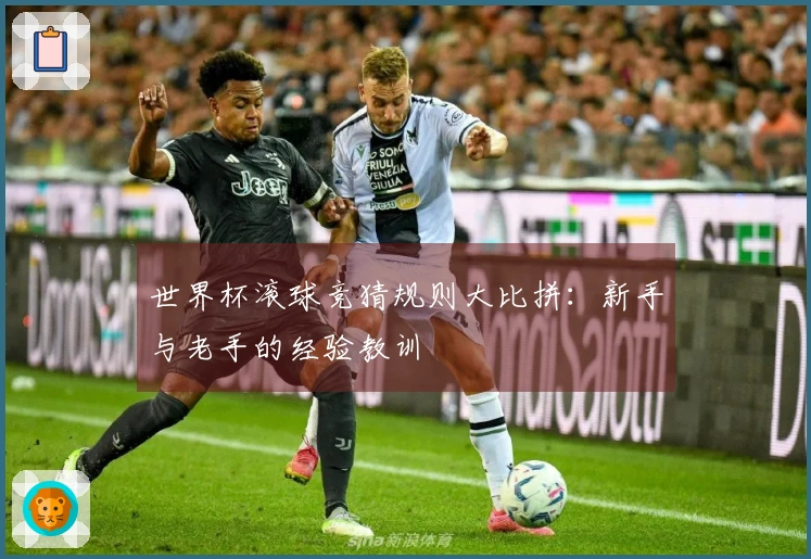 世界杯滚球竞猜规则大比拼：新手与老手的经验教训
