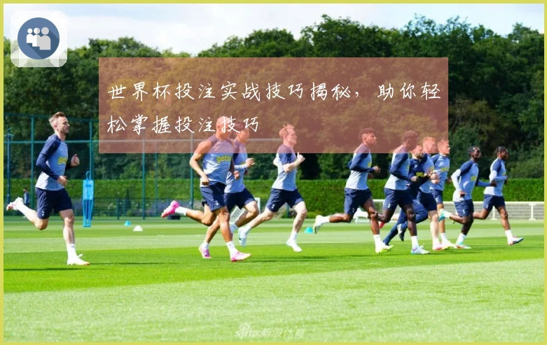 世界杯投注实战技巧揭秘，助你轻松掌握投注技巧