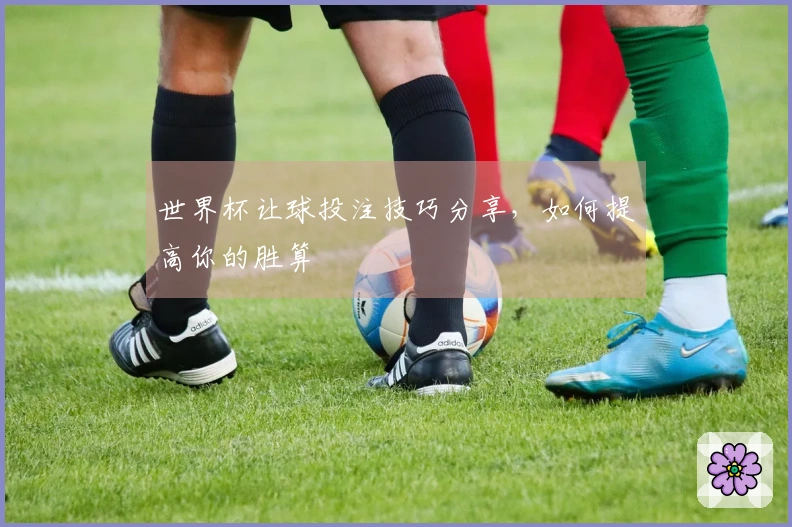 世界杯让球投注技巧分享，如何提高你的胜算