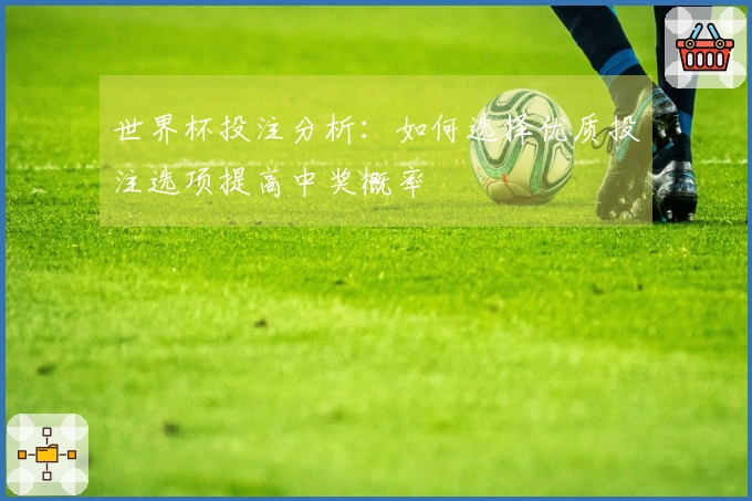 世界杯投注分析：如何选择优质投注选项提高中奖概率